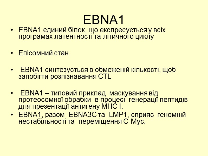 EBNA1 EBNA1 єдиний білок, що експресується у всіх програмах латентності та літичного циклу 